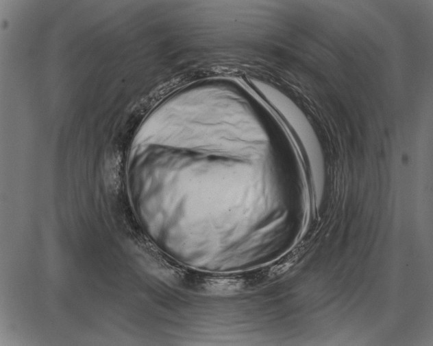 X0000086100319200704091359