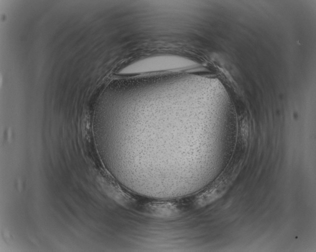 X0000086100322200704091359
