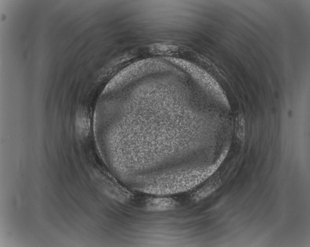 X0000086100324200704091359