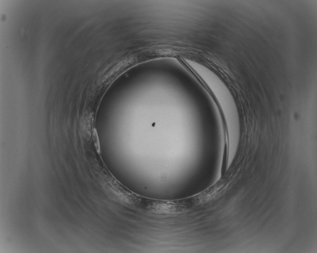 X0000086100325200704091359
