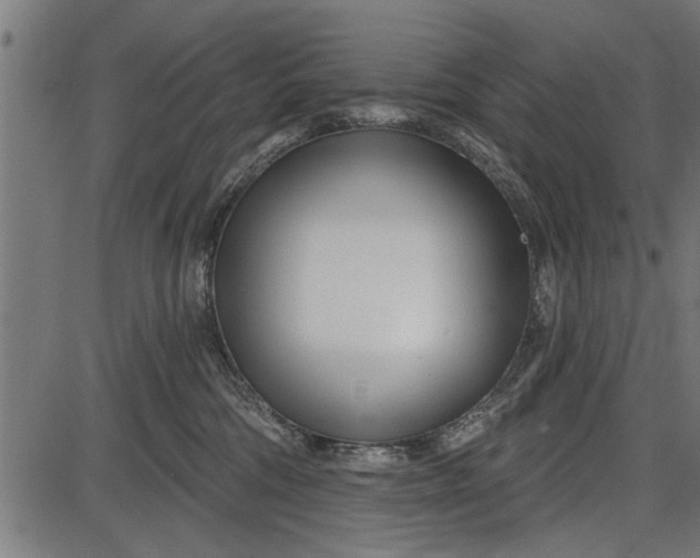 X0000086100330200704091359