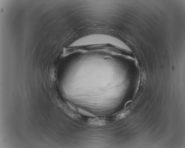 X0000086100331200704091359