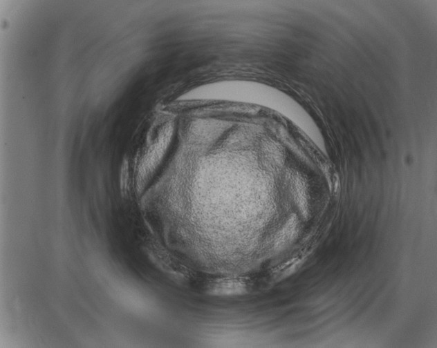 X0000086100335200704091359