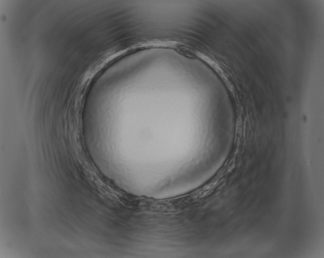X0000086100337200704091358