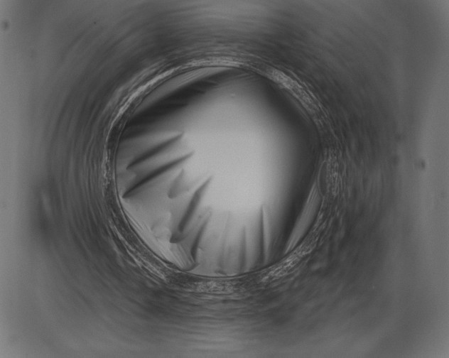 X0000086100338200704091358