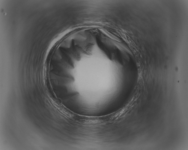 X0000086100342200704091358