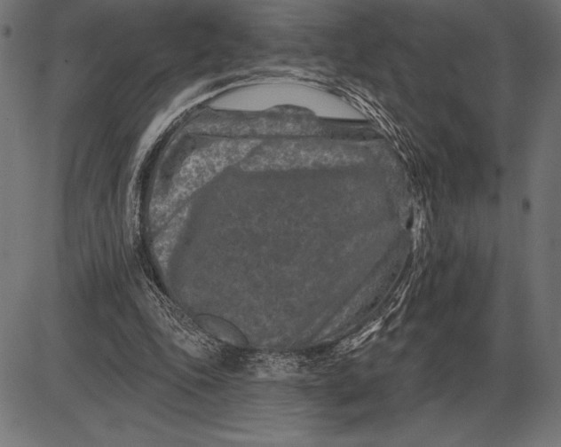 X0000086100343200704091358