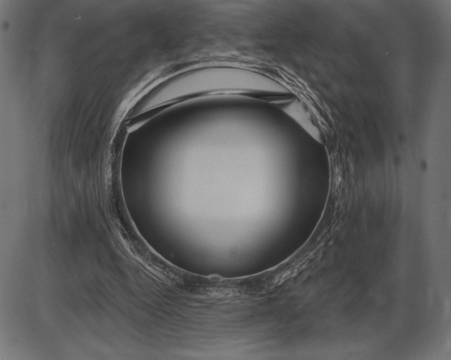 X0000086100344200704091358