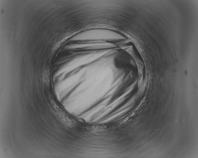 X0000086100345200704091358
