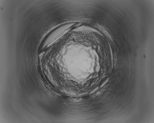 X0000086100346200704091358