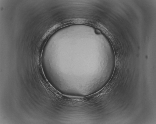 X0000086100347200704091358