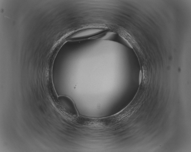 X0000086100348200704091358