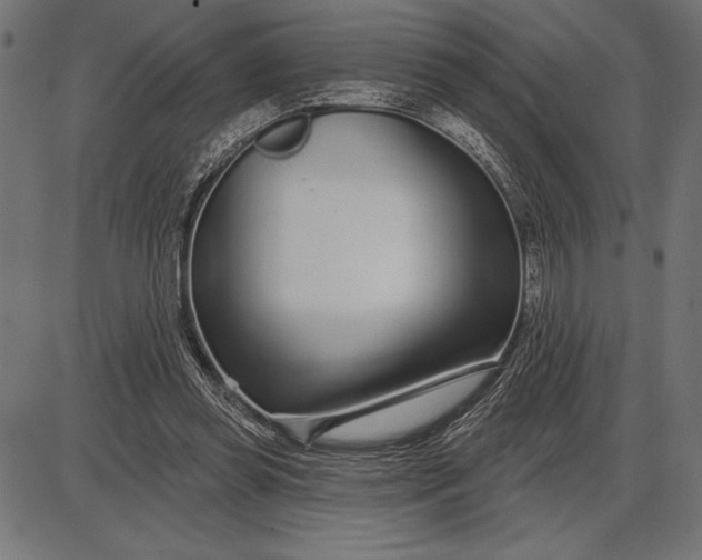 X0000086100349200704091358