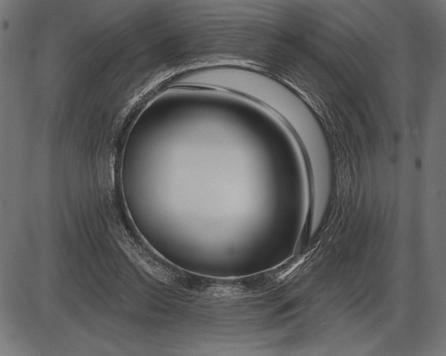 X0000086100350200704091358