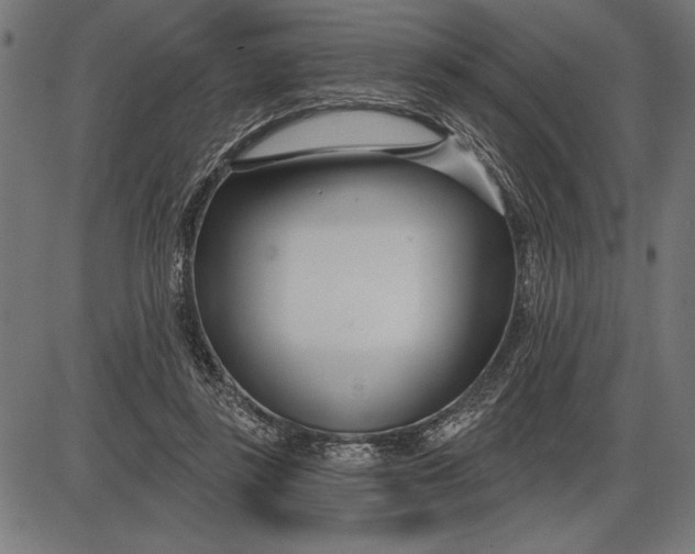 X0000086100355200704091358