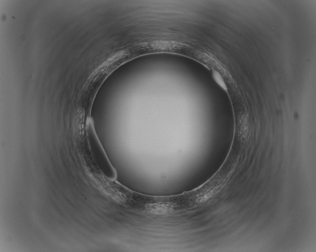 X0000086100356200704091358