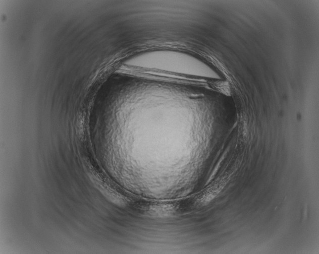 X0000086100357200704091358