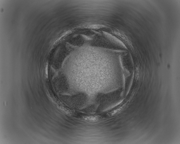 X0000086100358200704091358