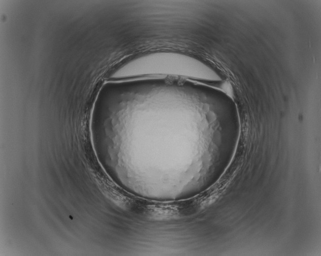 X0000086100359200704091358