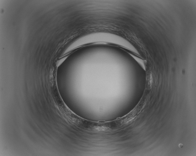 X0000086100360200704091358