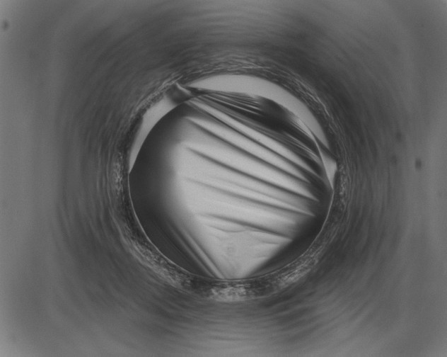 X0000086100362200704091358