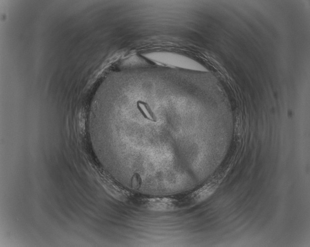 X0000086100363200704091358
