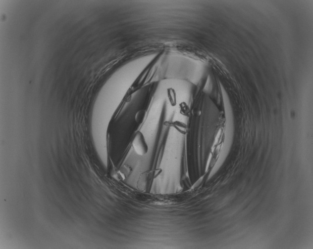 X0000086100364200704091358