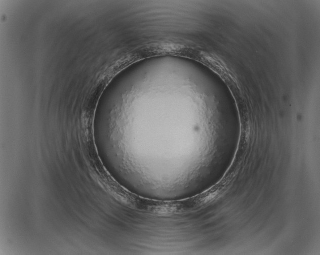 X0000086100366200704091358