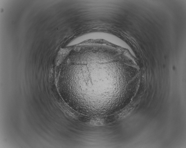 X0000086100369200704091358