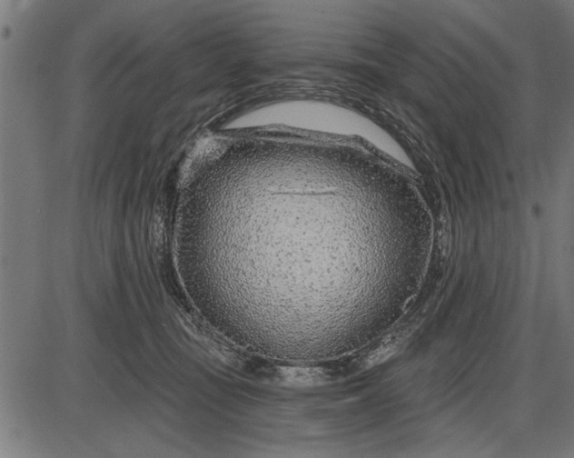 X0000086100371200704091358