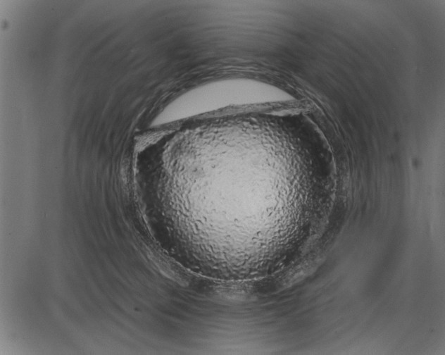 X0000086100373200704091358