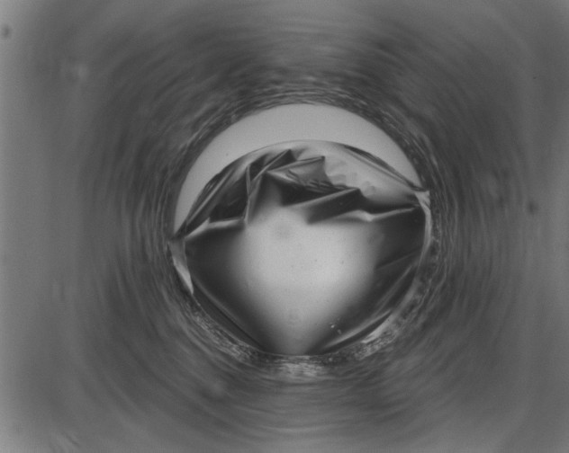 X0000086100376200704091358