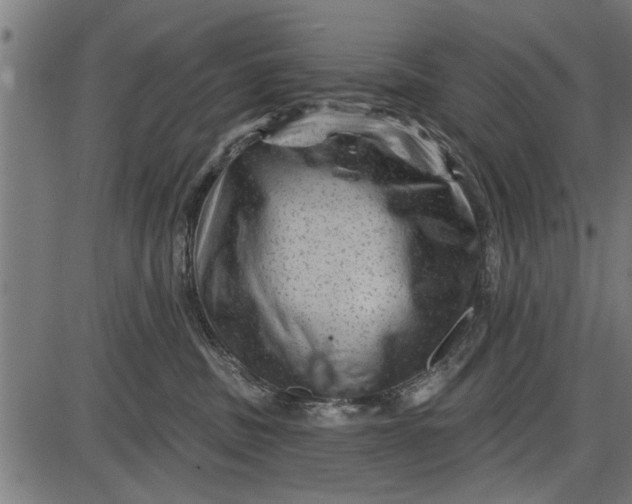 X0000086100379200704091358
