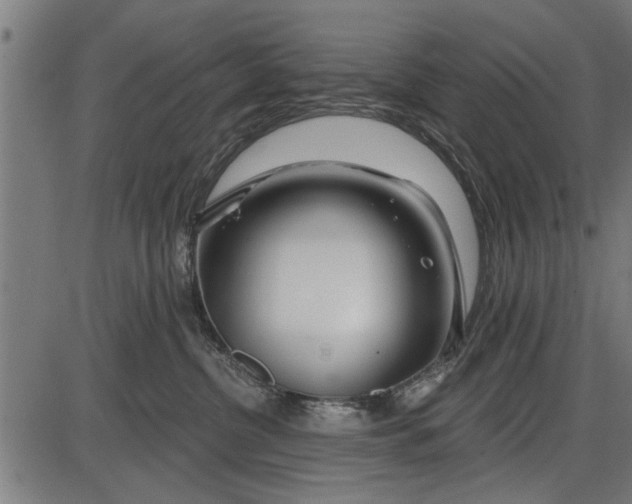 X0000086100380200704091358