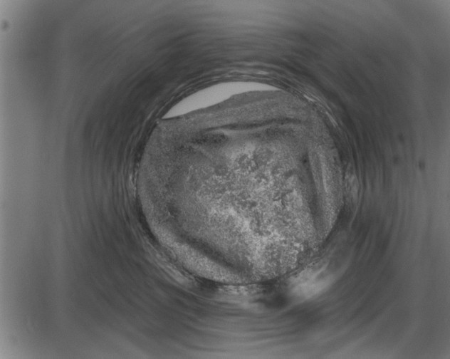 X0000086100381200704091358