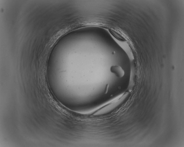 X0000086100385200704091358