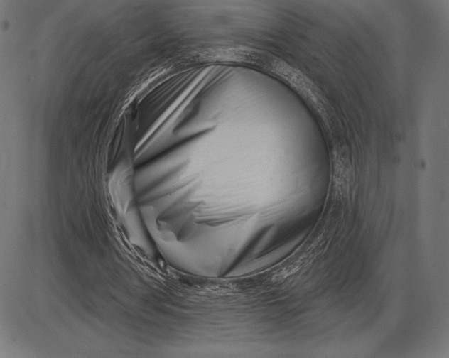 X0000086100386200704091358