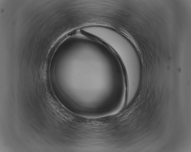 X0000086100387200704091358