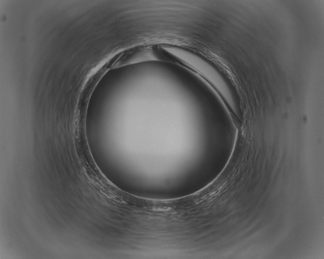 X0000086100388200704091358