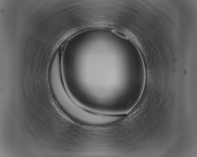 X0000086100389200704091358