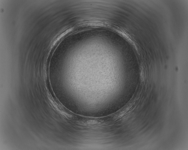 X0000086100390200704091358
