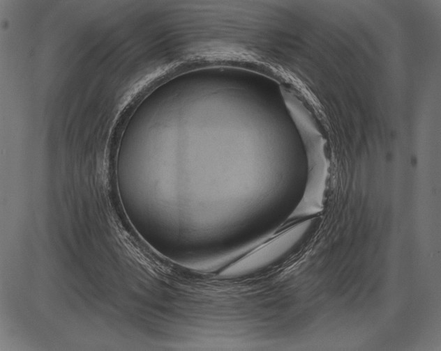 X0000086100391200704091358