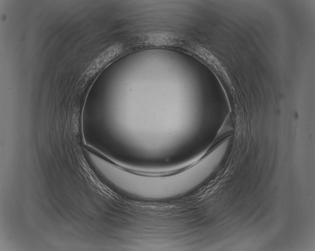 X0000086100393200704091358