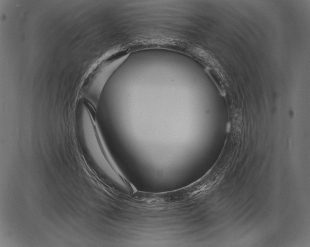 X0000086100395200704091358