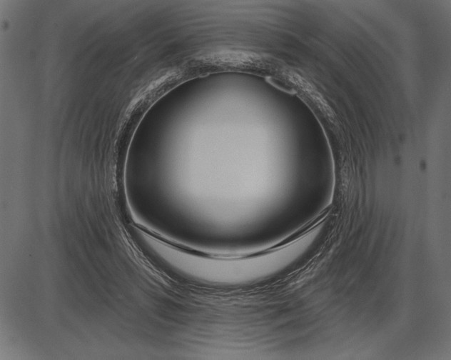X0000086100399200704091357