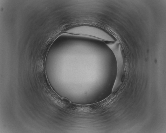 X0000086100401200704091357