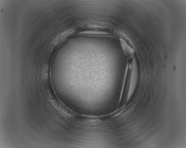 X0000086100402200704091357