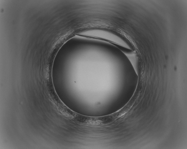 X0000086100403200704091357