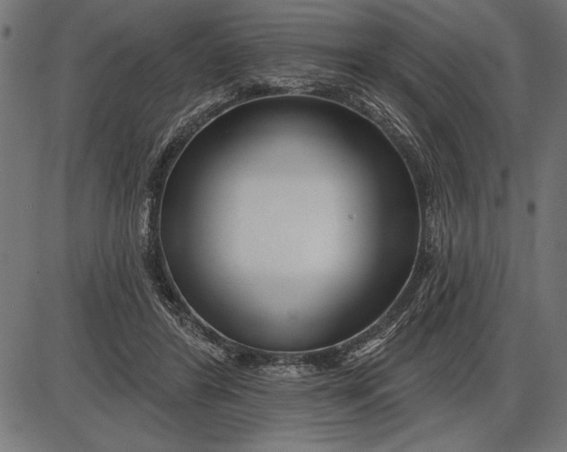 X0000086100404200704091357