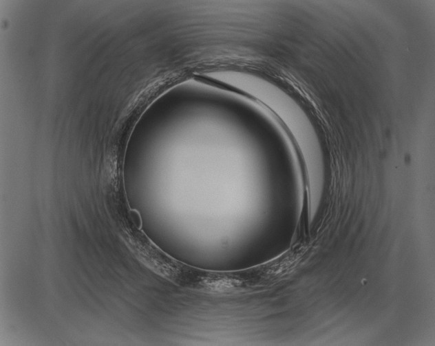 X0000086100407200704091357